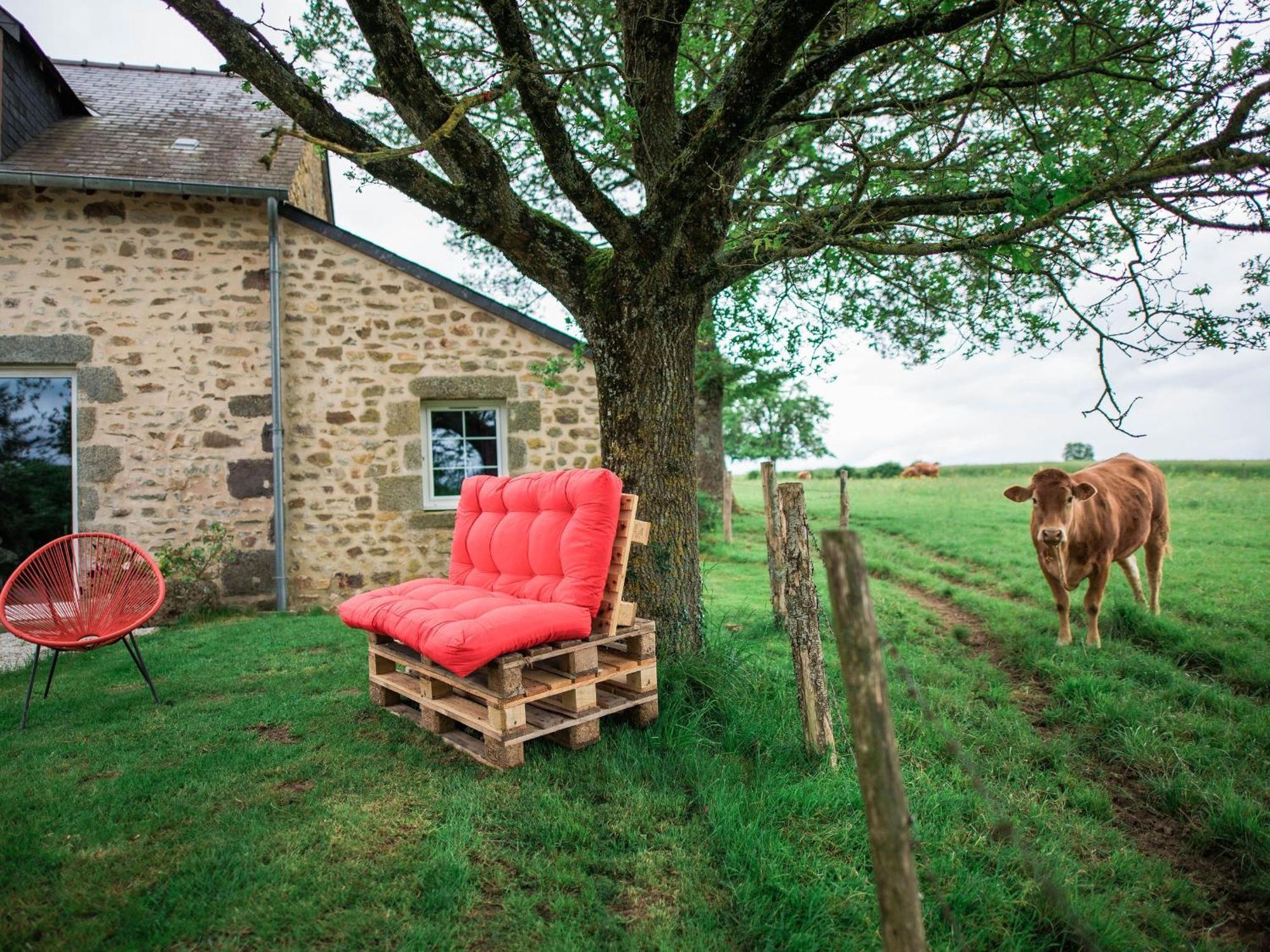 Gite De Charme Renove Avec Cheminee, Terrasse Et Proche Randonnees - Capacite 13 Pers. - Fr-1-410-179 Saint-Léonard-des-Bois Eksteriør bilde